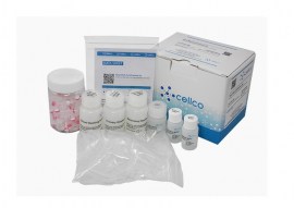 Kit De Preparação RNA+DNA Viral - 250 Testes - DPK-115L